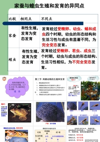 人教版八年级生物课件(两栖动物的生殖和发育)