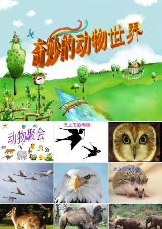 奇妙的动物世界
