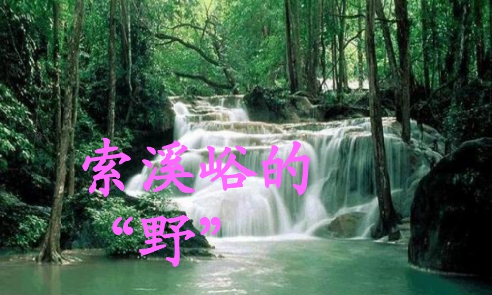 索溪峪的野课件