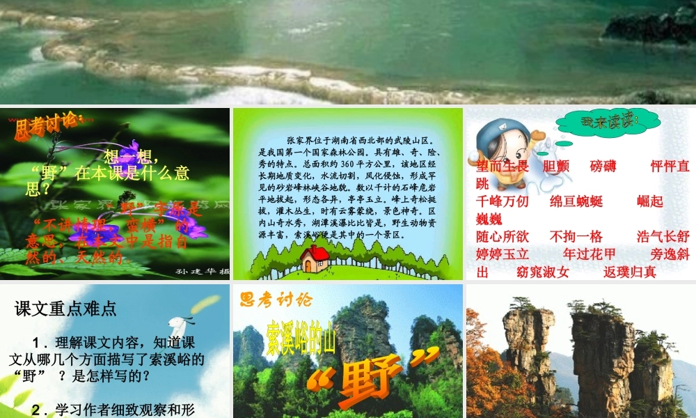 索溪峪的野课件