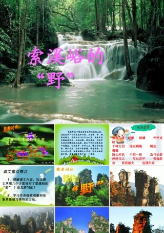 索溪峪的野课件