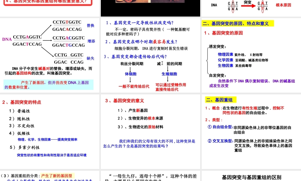 人教版必修2第五章第一节基因突变与基因重组（共16张PPT）
