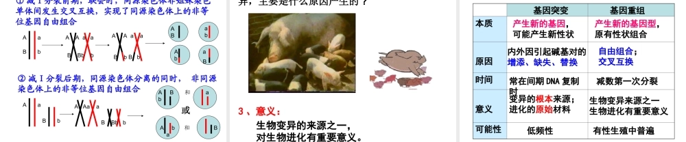 人教版必修2第五章第一节基因突变与基因重组（共16张PPT）