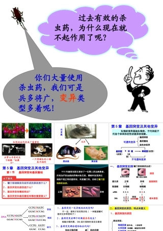 人教版必修2第五章第一节基因突变与基因重组（共16张PPT）