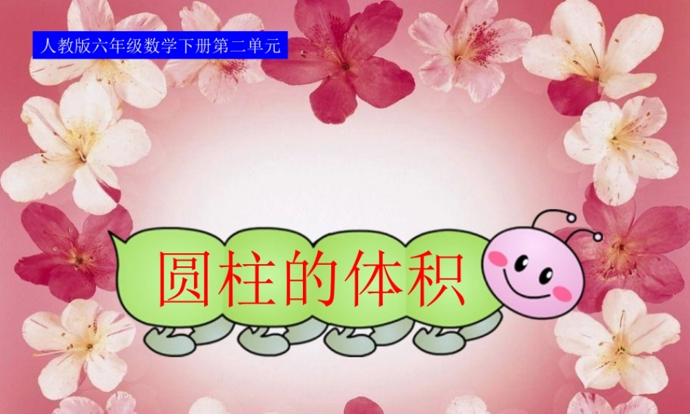 人教版六年级数学下册第二单元第四课时_圆柱的体积 (2)