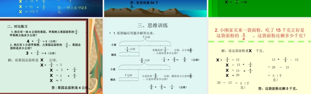 分数除法应用题2