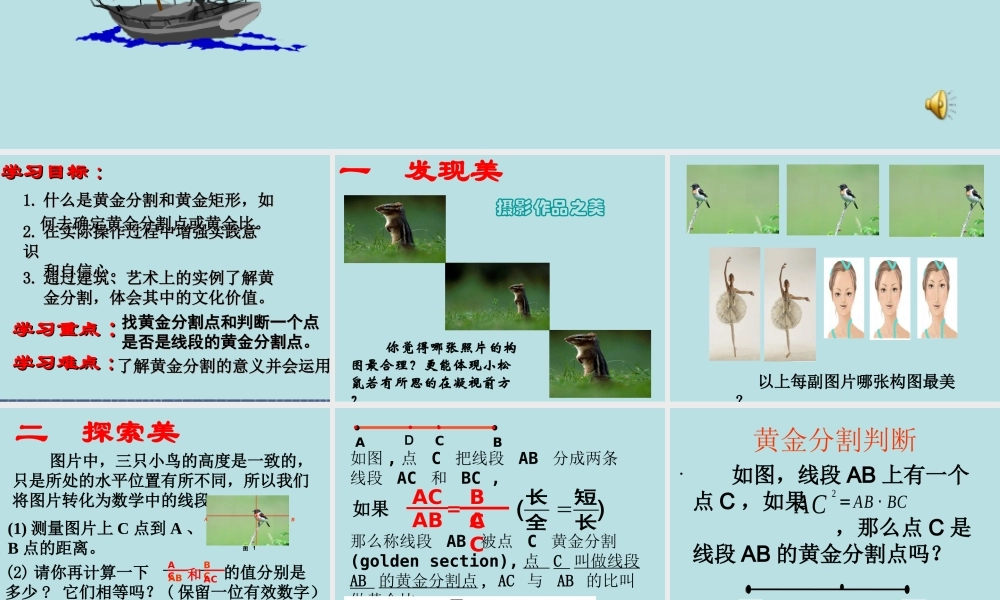 黄金分割课件