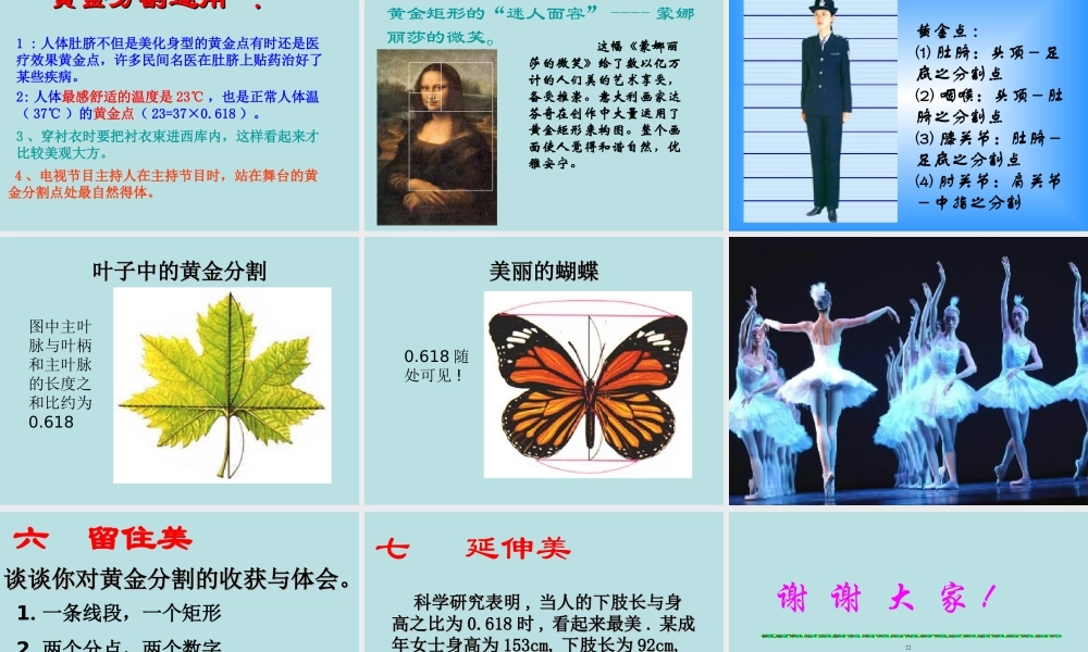 黄金分割课件