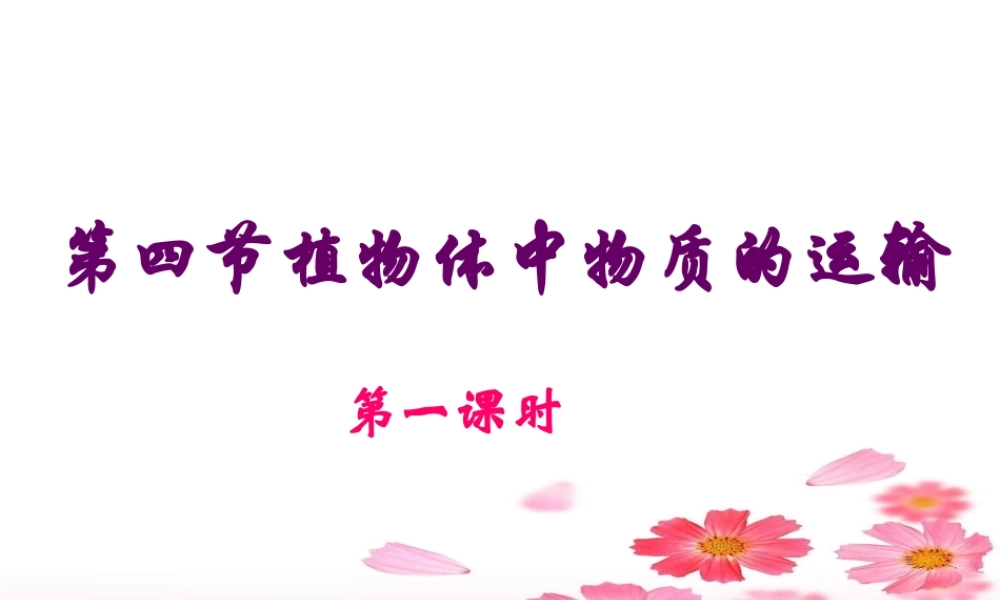 植物体中物质的运输(第一课时)