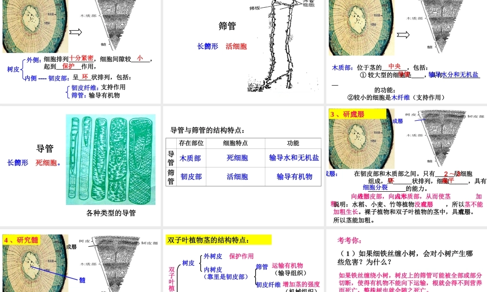 植物体中物质的运输(第一课时)