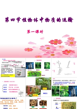 植物体中物质的运输(第一课时)
