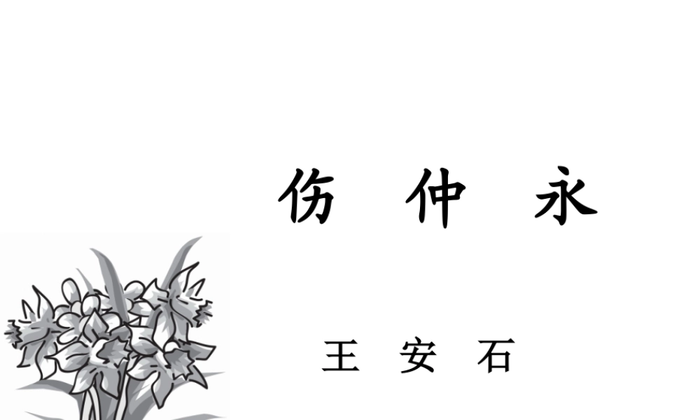 我的伤仲永公开课课件