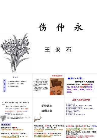 我的伤仲永公开课课件