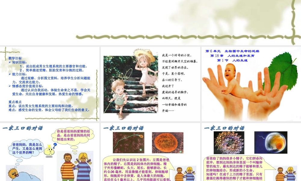 八年级生物6181人的生殖课件苏科版