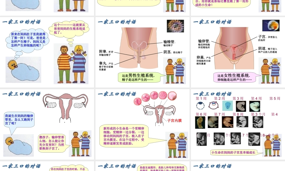 八年级生物6181人的生殖课件苏科版