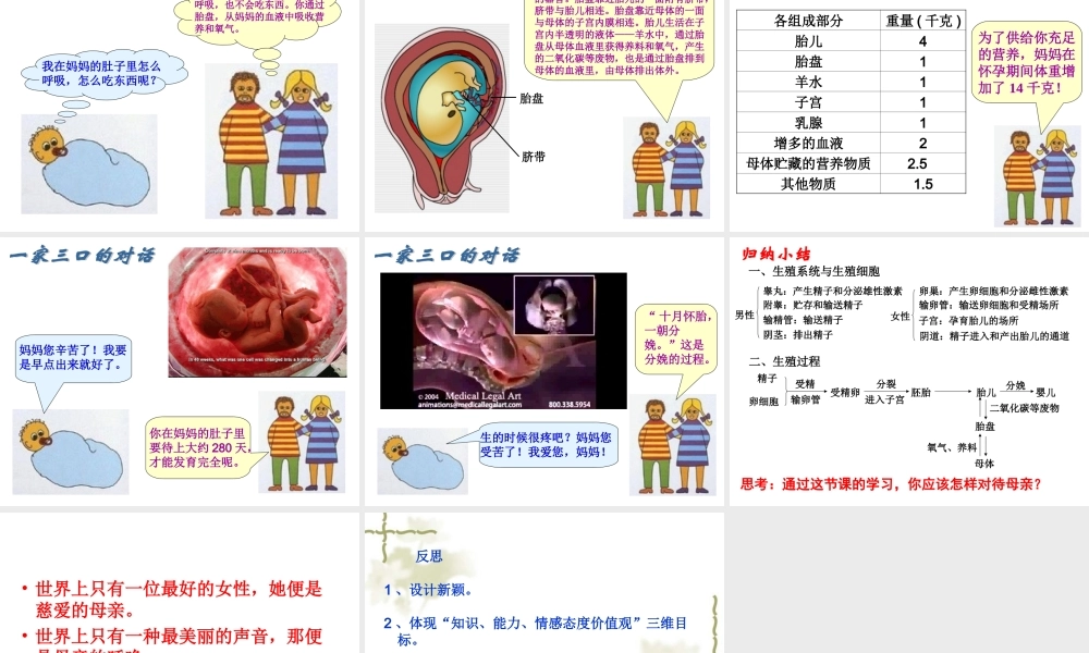 八年级生物6181人的生殖课件苏科版