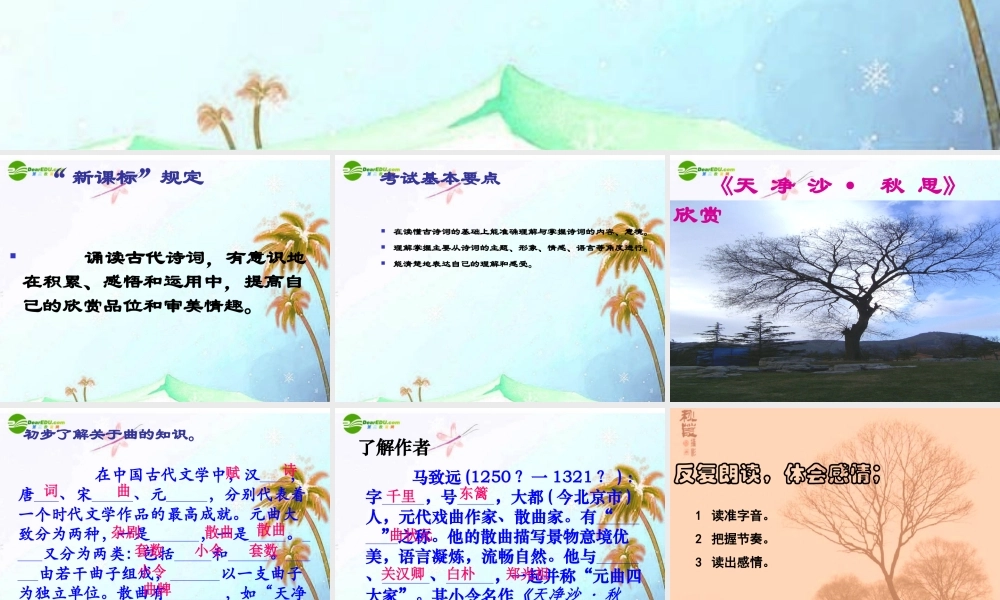 中考语文复习专题课件 古代诗词赏析 课件