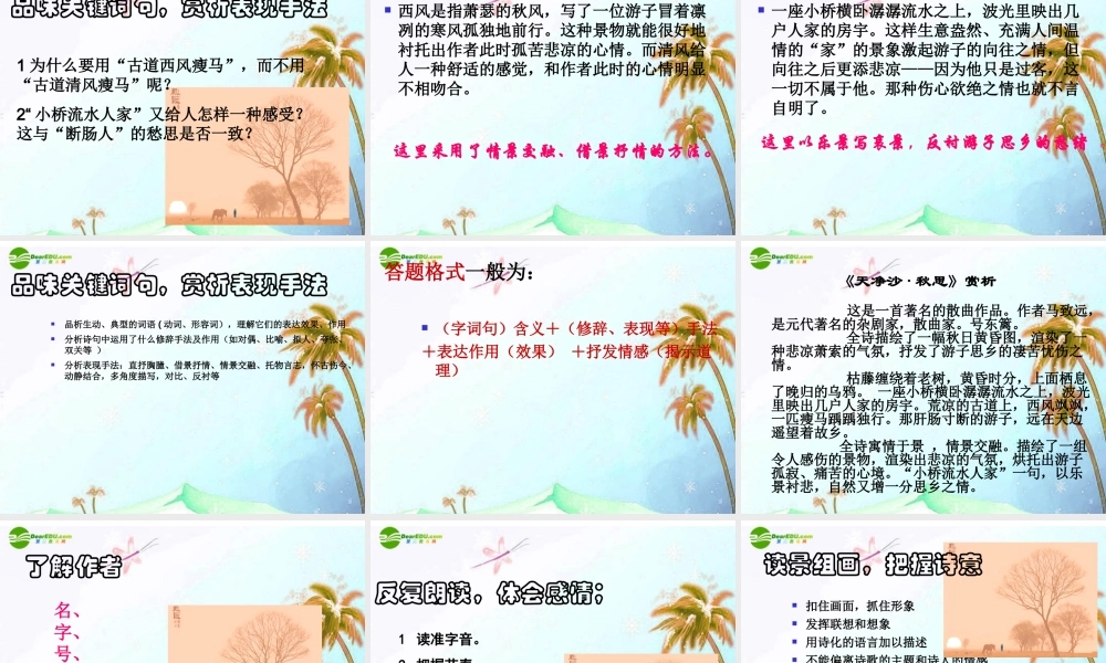 中考语文复习专题课件 古代诗词赏析 课件