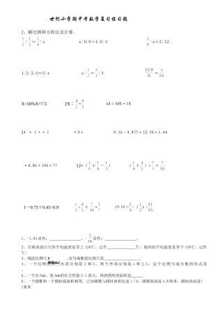 世纪小学六年级数学期中复习练习