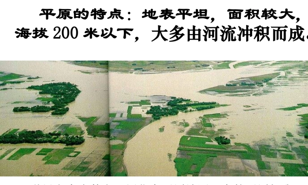 稻作文化的印记