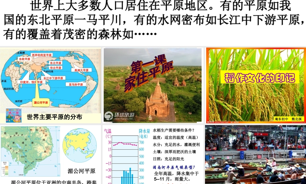 稻作文化的印记