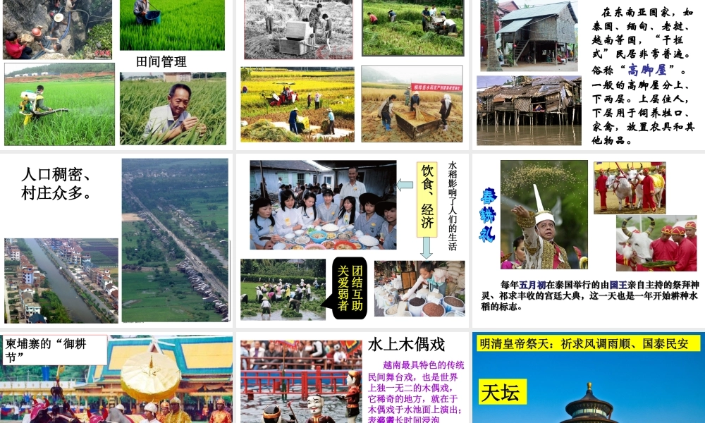 稻作文化的印记