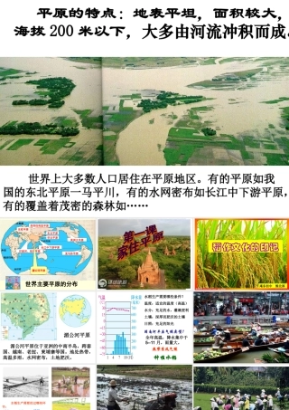 稻作文化的印记