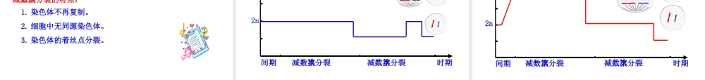 减数分裂和受精作用第一课时课件人教版必修