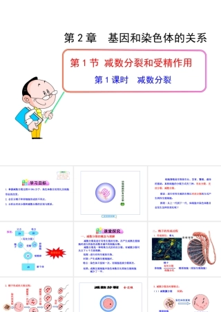 减数分裂和受精作用第一课时课件人教版必修