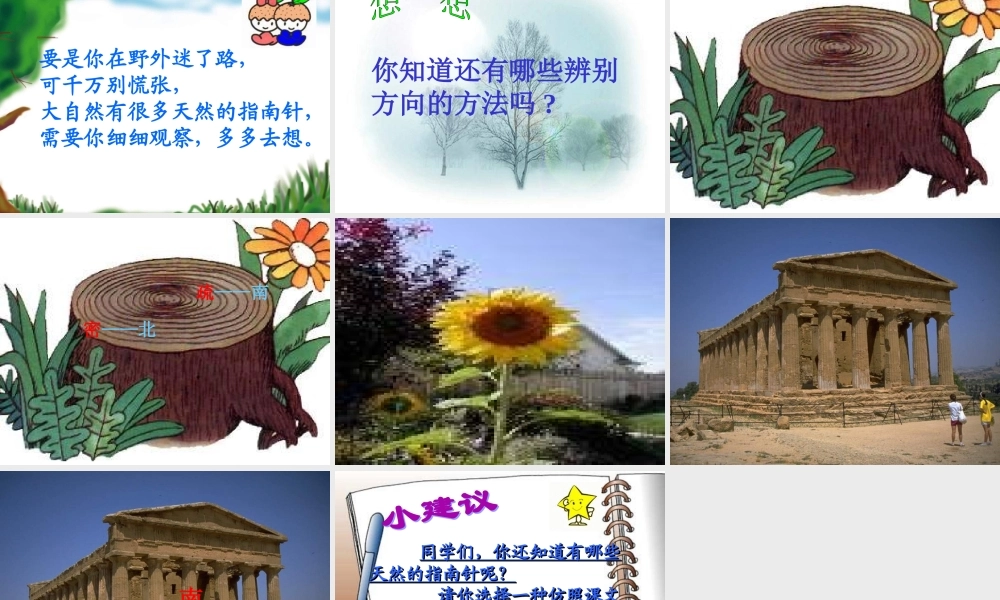 人教版小学二年级语文要是你在野外迷了路10