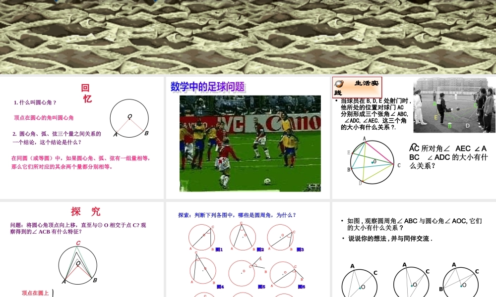 圆周角(优质课)