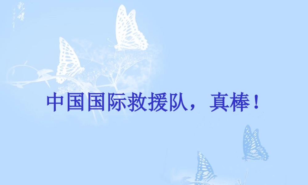 《中国国际救援队，真棒!》