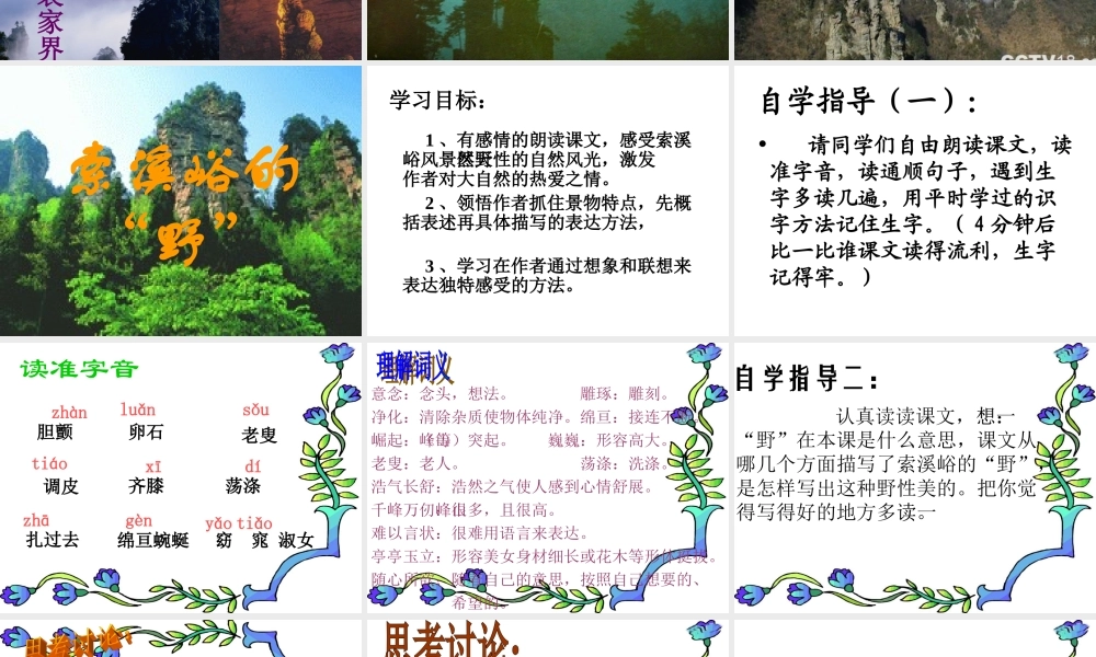 索溪峪的野PPT课件之四