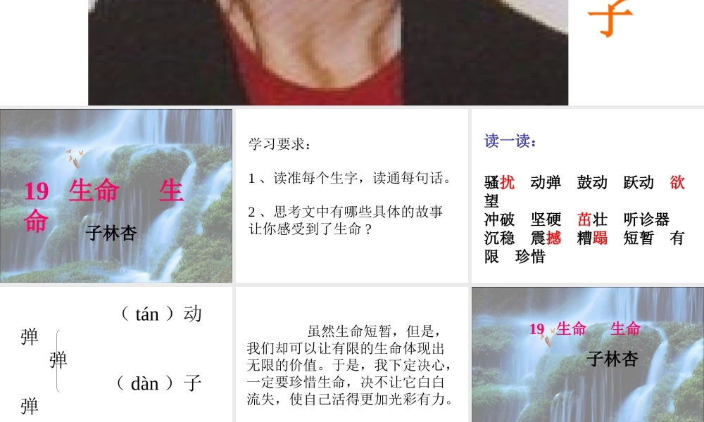 生命生命优秀教案