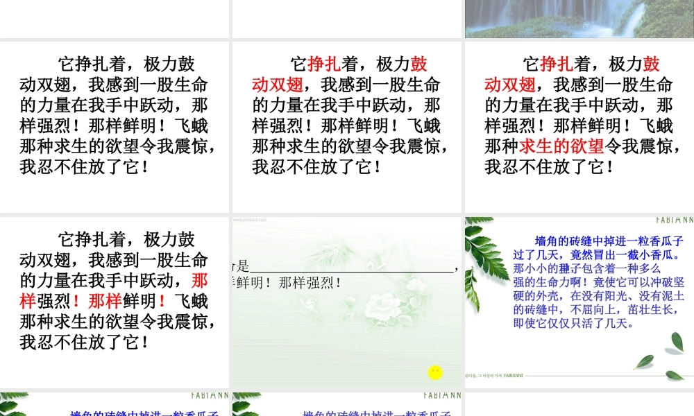 生命生命优秀教案