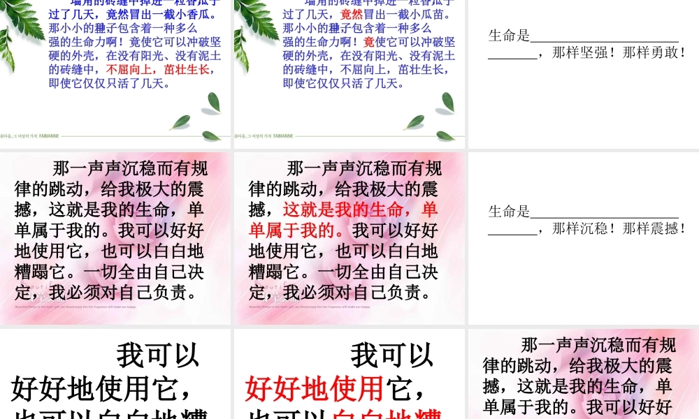 生命生命优秀教案