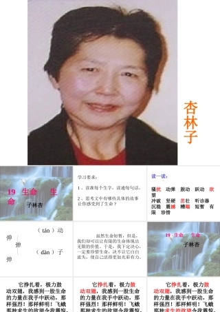 生命生命优秀教案