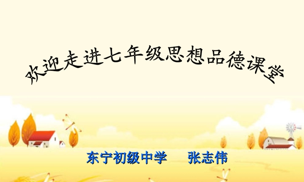 十三课分数的品质