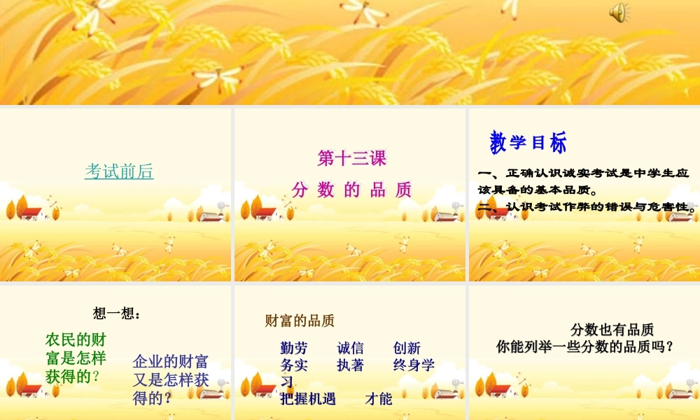 十三课分数的品质