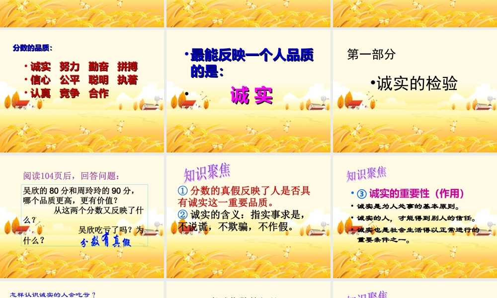 十三课分数的品质