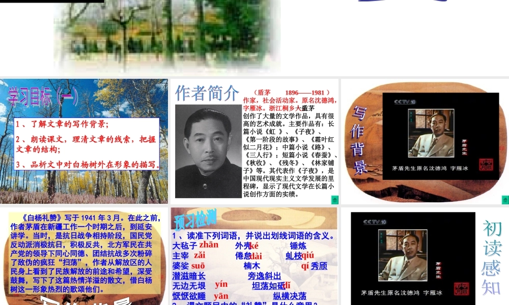白杨礼赞第一课时