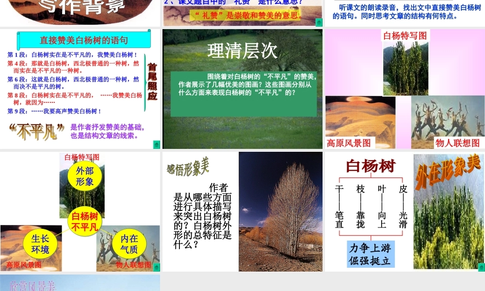 白杨礼赞第一课时
