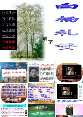 白杨礼赞第一课时