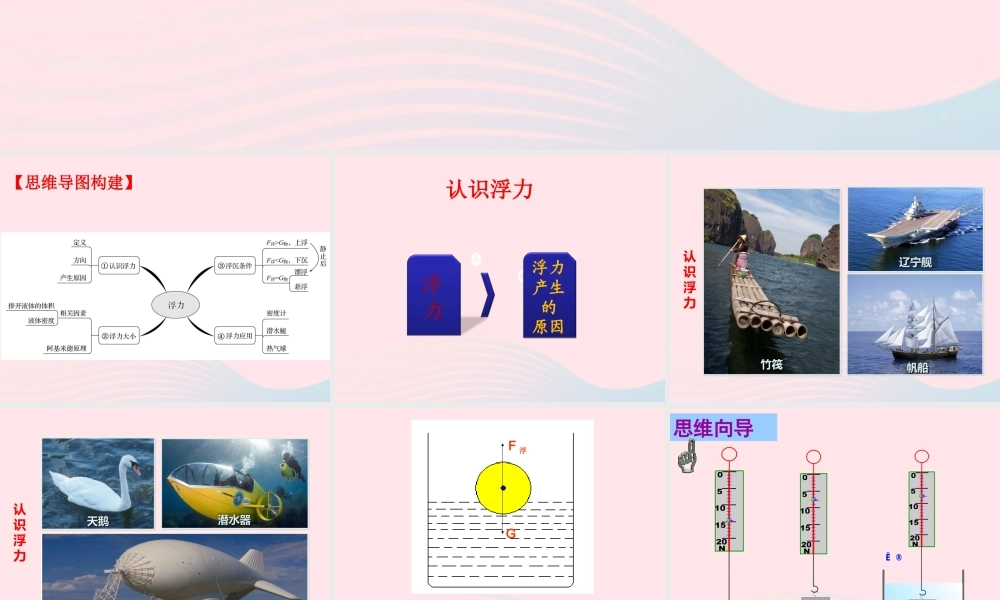 中考物理一轮复习 第九章 浮力考点梳理课件 沪科版 课件