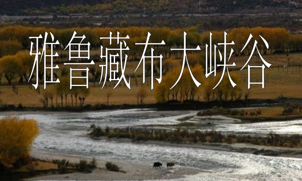 雅鲁藏布大峡谷PPT(1)