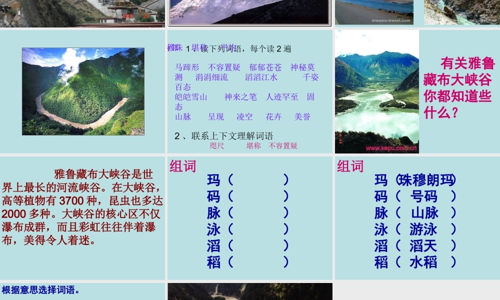 雅鲁藏布大峡谷PPT(1)
