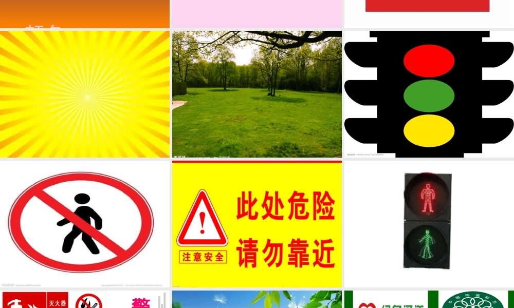 颜色英语课树仁校