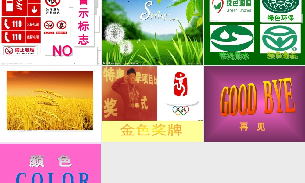 颜色英语课树仁校