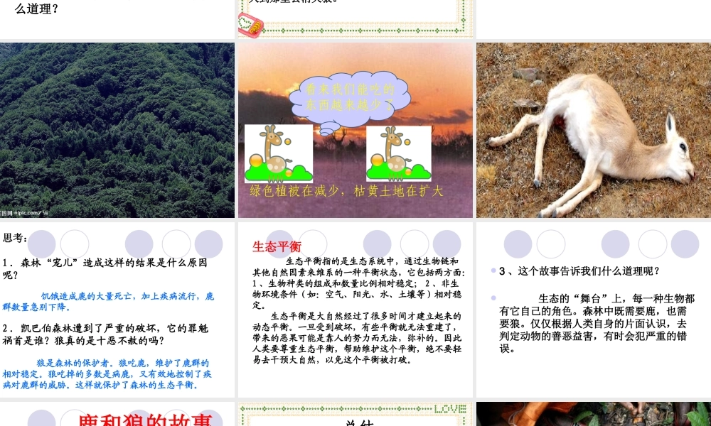 鹿和狼的故事六年级语文上PPT修改