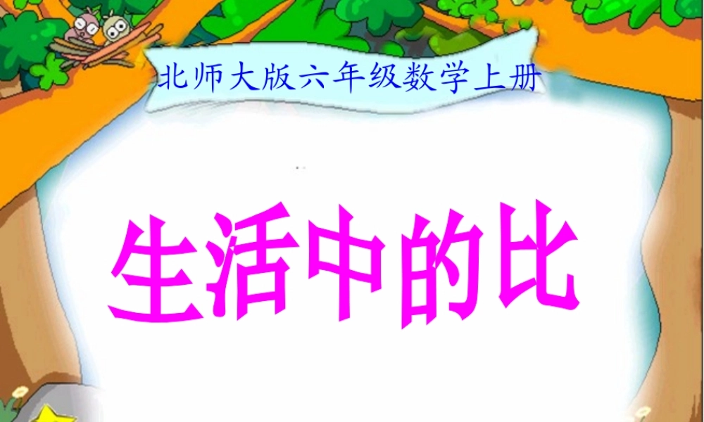 生活中的比 (2)